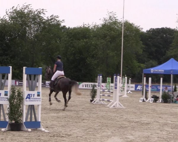 Reitturnier Wietmarschen 2019