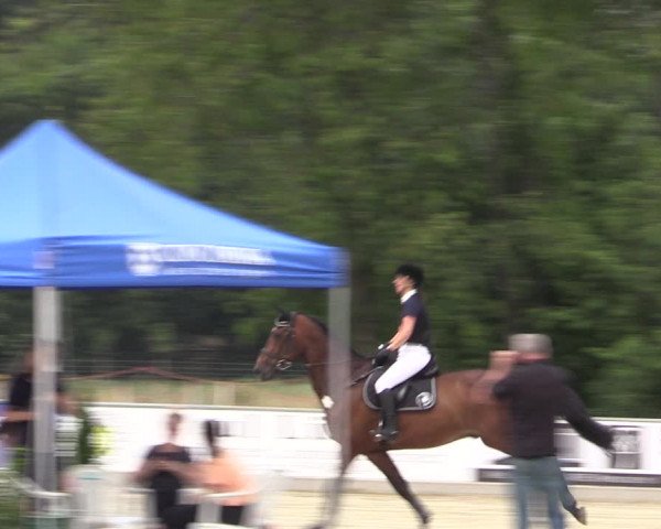 Reitturnier Wietmarschen 2019