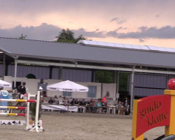 Reitturnier Wietmarschen 2019