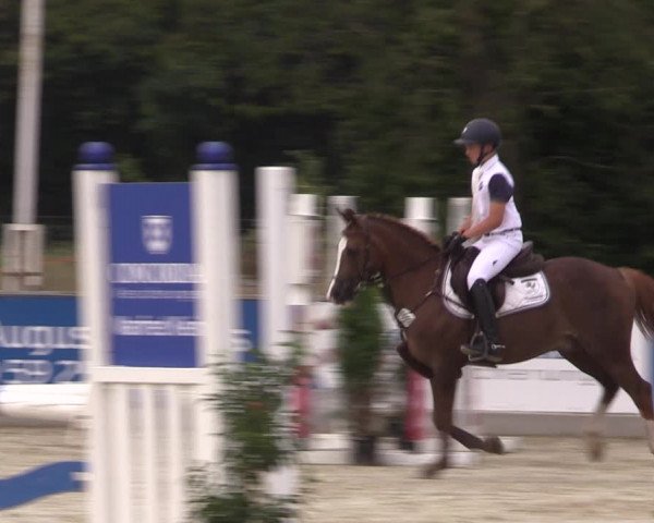 Reitturnier Wietmarschen 2019