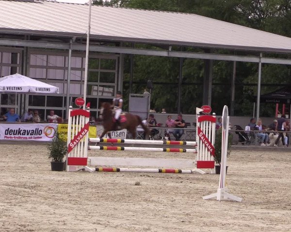 Reitturnier Wietmarschen 2019