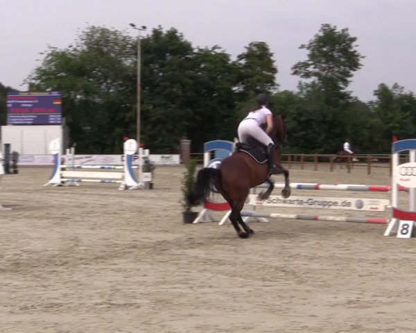 Reitturnier Wietmarschen 2019
