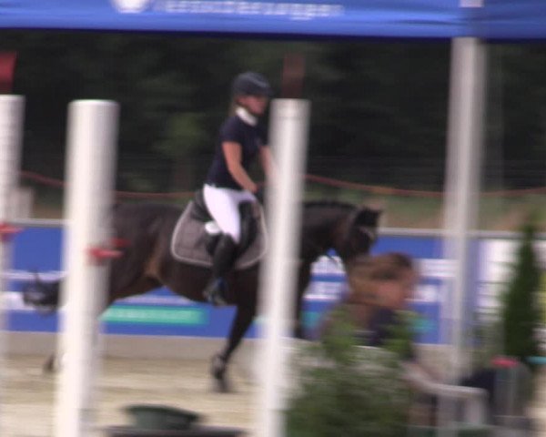 Reitturnier Wietmarschen 2019