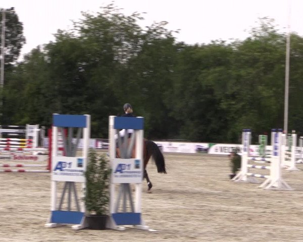 Reitturnier Wietmarschen 2019