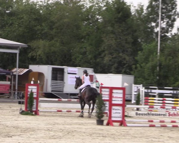 Reitturnier Wietmarschen 2019