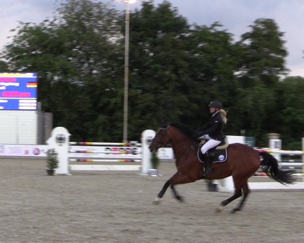 Reitturnier Wietmarschen 2019