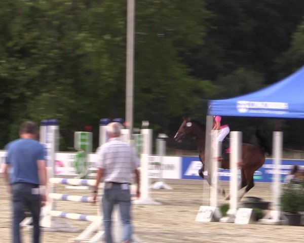 Reitturnier Wietmarschen 2019