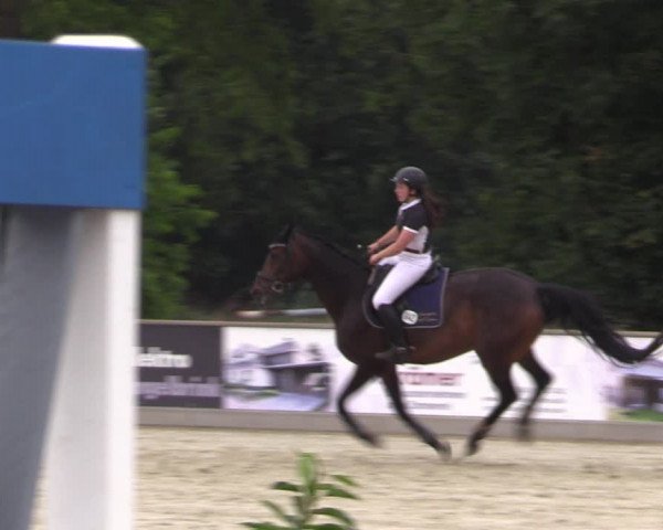 Reitturnier Wietmarschen 2019