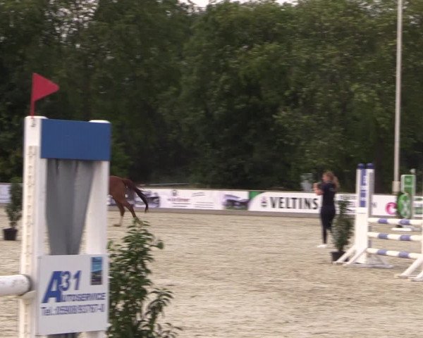 Reitturnier Wietmarschen 2019