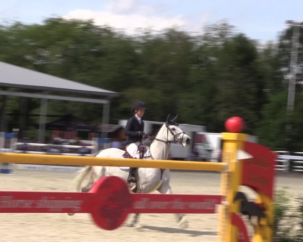 Reitturnier Wietmarschen 2019