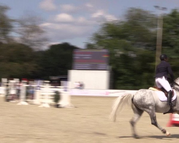 Reitturnier Wietmarschen 2019