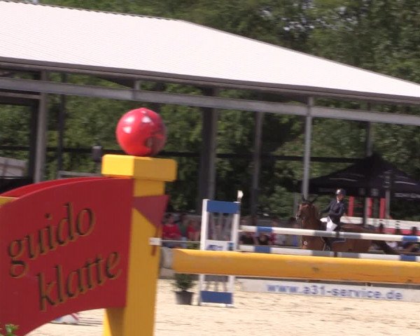 Reitturnier Wietmarschen 2019