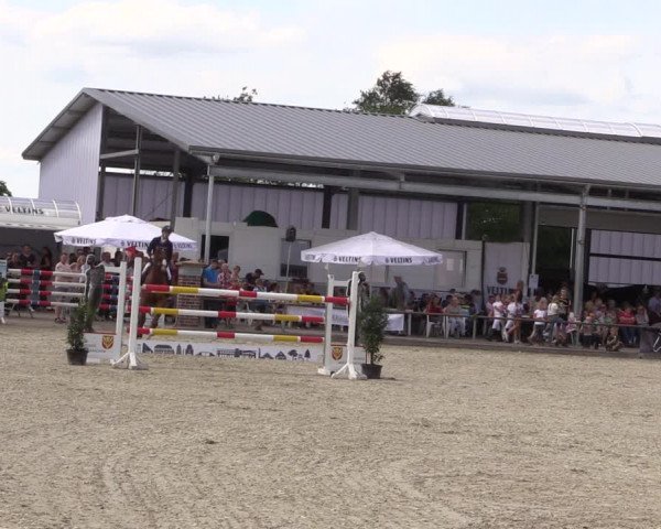 Reitturnier Wietmarschen 2019