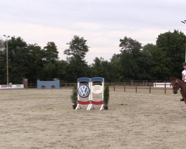 Reitturnier Wietmarschen 2019