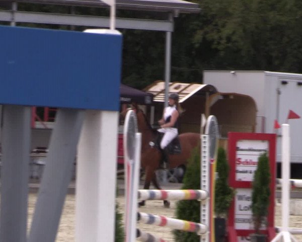 Reitturnier Wietmarschen 2019