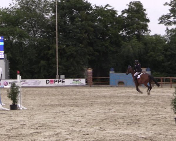 Reitturnier Wietmarschen 2019