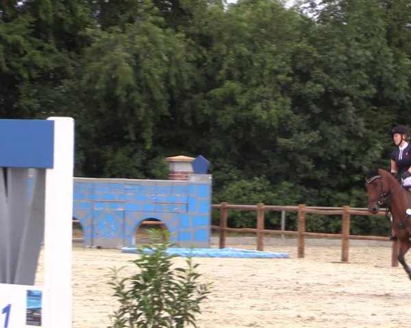 Reitturnier Wietmarschen 2019