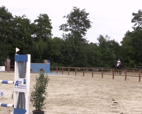 Reitturnier Wietmarschen 2019