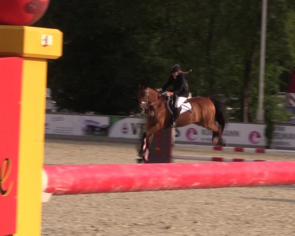 Reitturnier Wietmarschen 2019