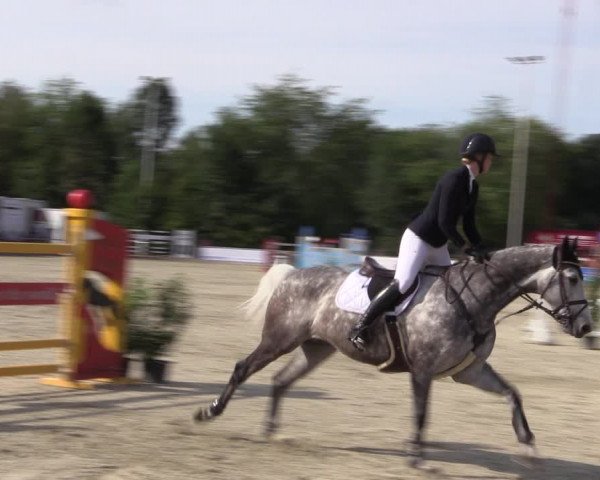 Reitturnier Wietmarschen 2019