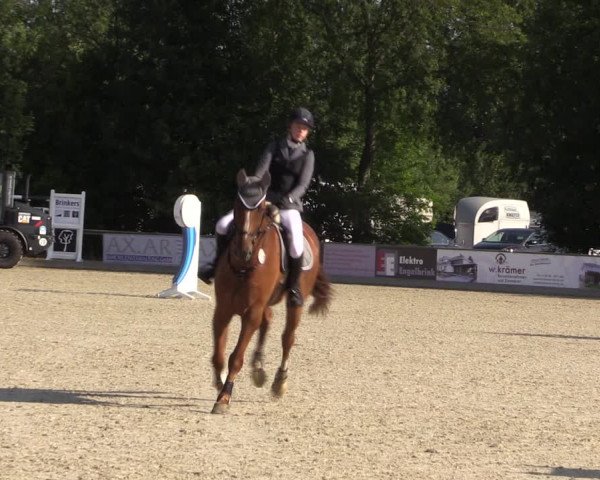 Reitturnier Wietmarschen 2019