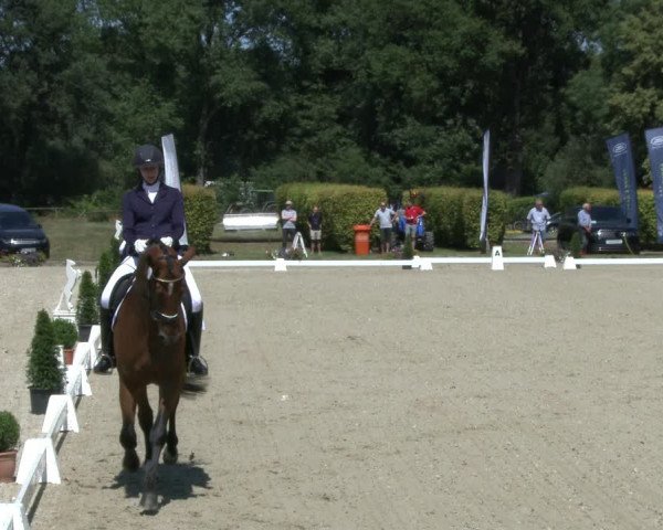 Reitturnier Münster-Handorf 2019