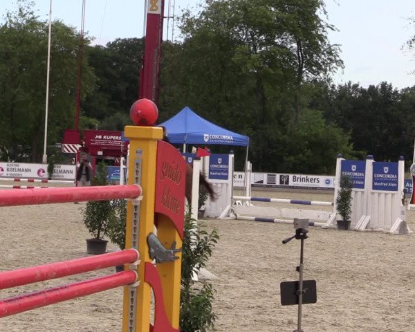 Reitturnier Wietmarschen 2019