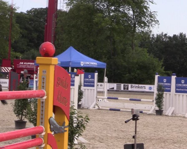 Reitturnier Wietmarschen 2019