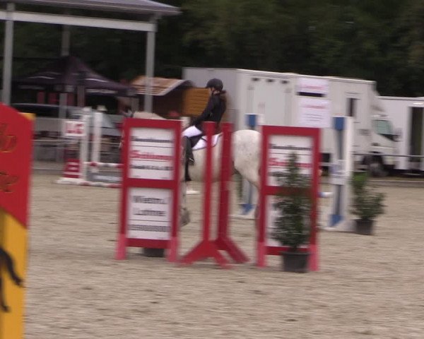 Reitturnier Wietmarschen 2019