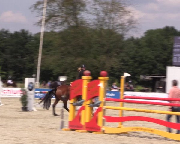 Reitturnier Wietmarschen 2019