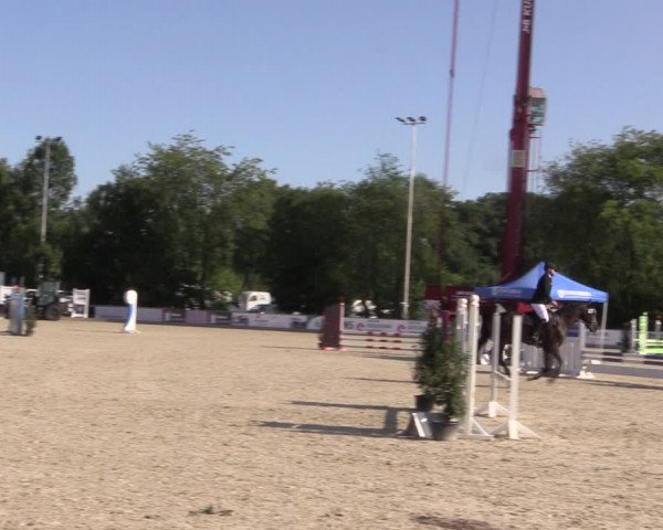 Reitturnier Wietmarschen 2019