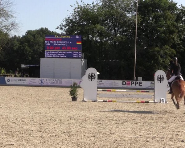 Reitturnier Wietmarschen 2019