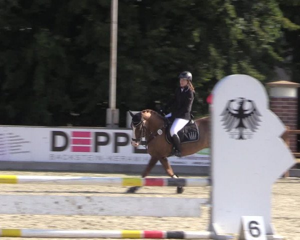 Reitturnier Wietmarschen 2019