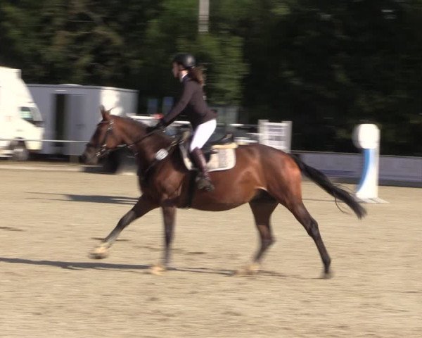 Reitturnier Wietmarschen 2019