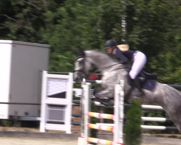 Reitturnier Wietmarschen 2019