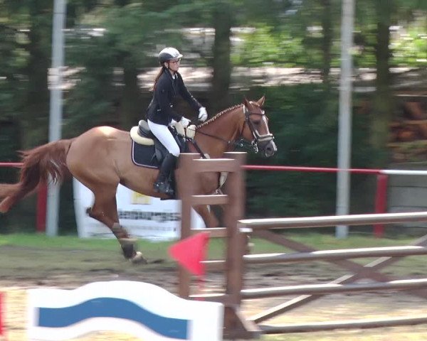Reitturnier Boock 2019