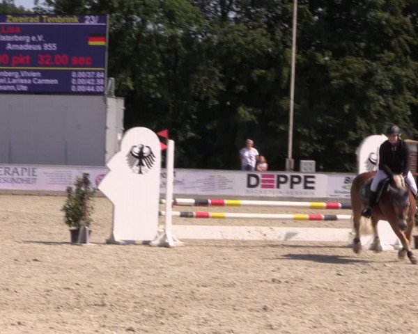 Reitturnier Wietmarschen 2019