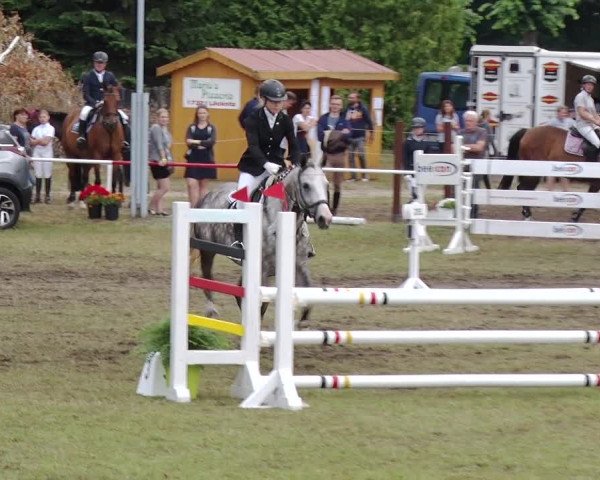Reitturnier Boock 2019