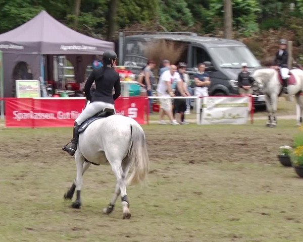 Reitturnier Boock 2019