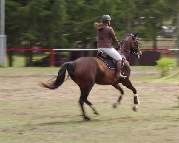 Reitturnier Boock 2019