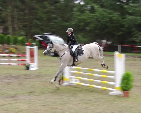 Reitturnier Boock 2019