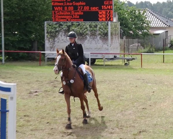 Reitturnier Boock 2019