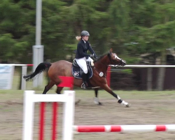 Reitturnier Boock 2019