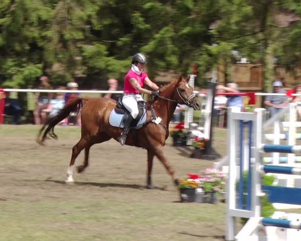 Reitturnier Boock 2019