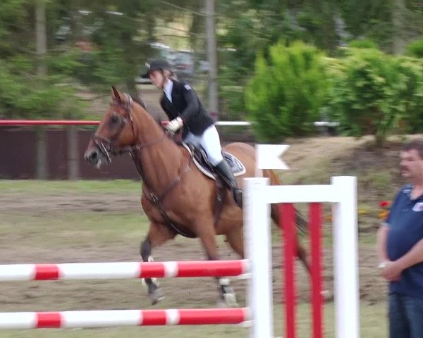 Reitturnier Boock 2019