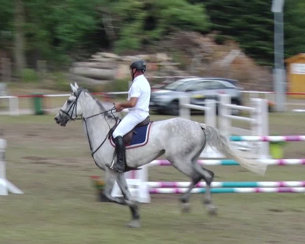 Reitturnier Boock 2019