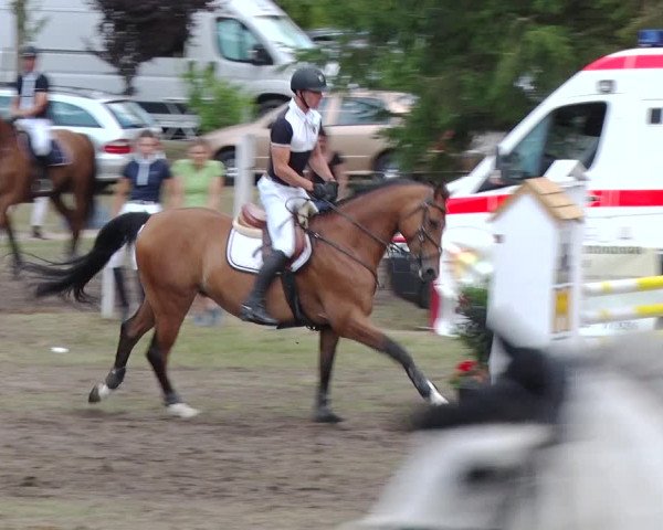 Reitturnier Boock 2019
