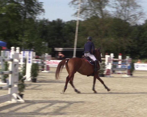 Reitturnier Wietmarschen 2019