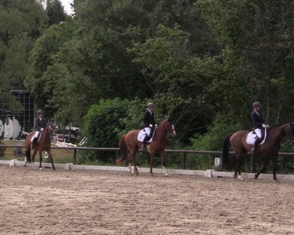 Reitturnier Marienheide-Kempershöhe 2019