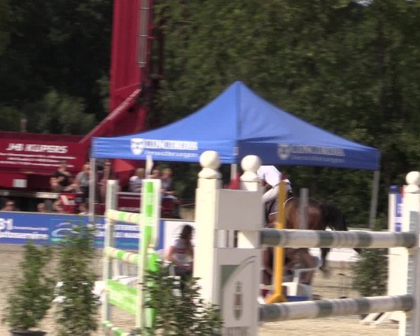 Reitturnier Wietmarschen 2019
